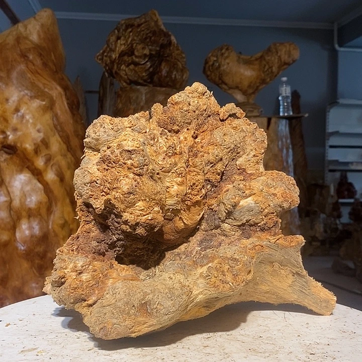 山***王我们都是你的粉丝75