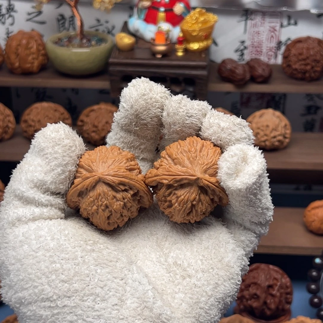 文玩核桃把件双龟背白狮子全品 一物一图