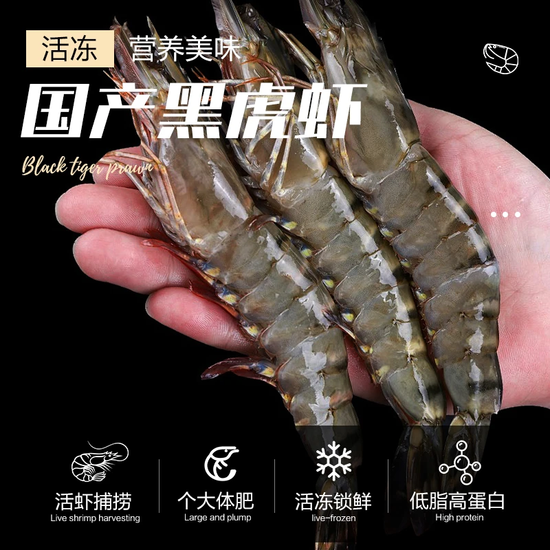 双十一开吃节巨型黑虎虾新鲜速冻鲜美老虎虾鲜活非盐冻特大号