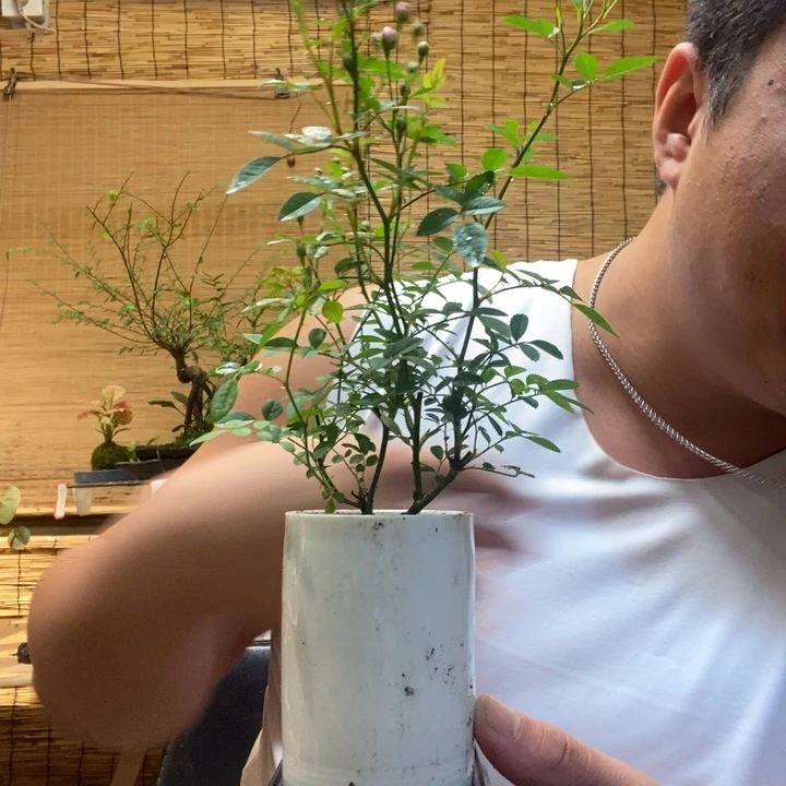 一物一拍所见即所得570