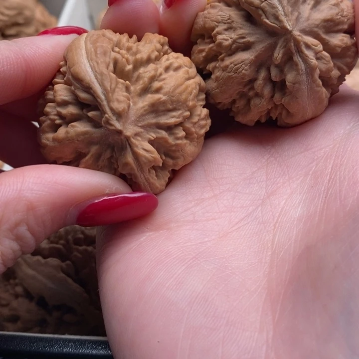 六***宝文玩核桃把件霸王龙