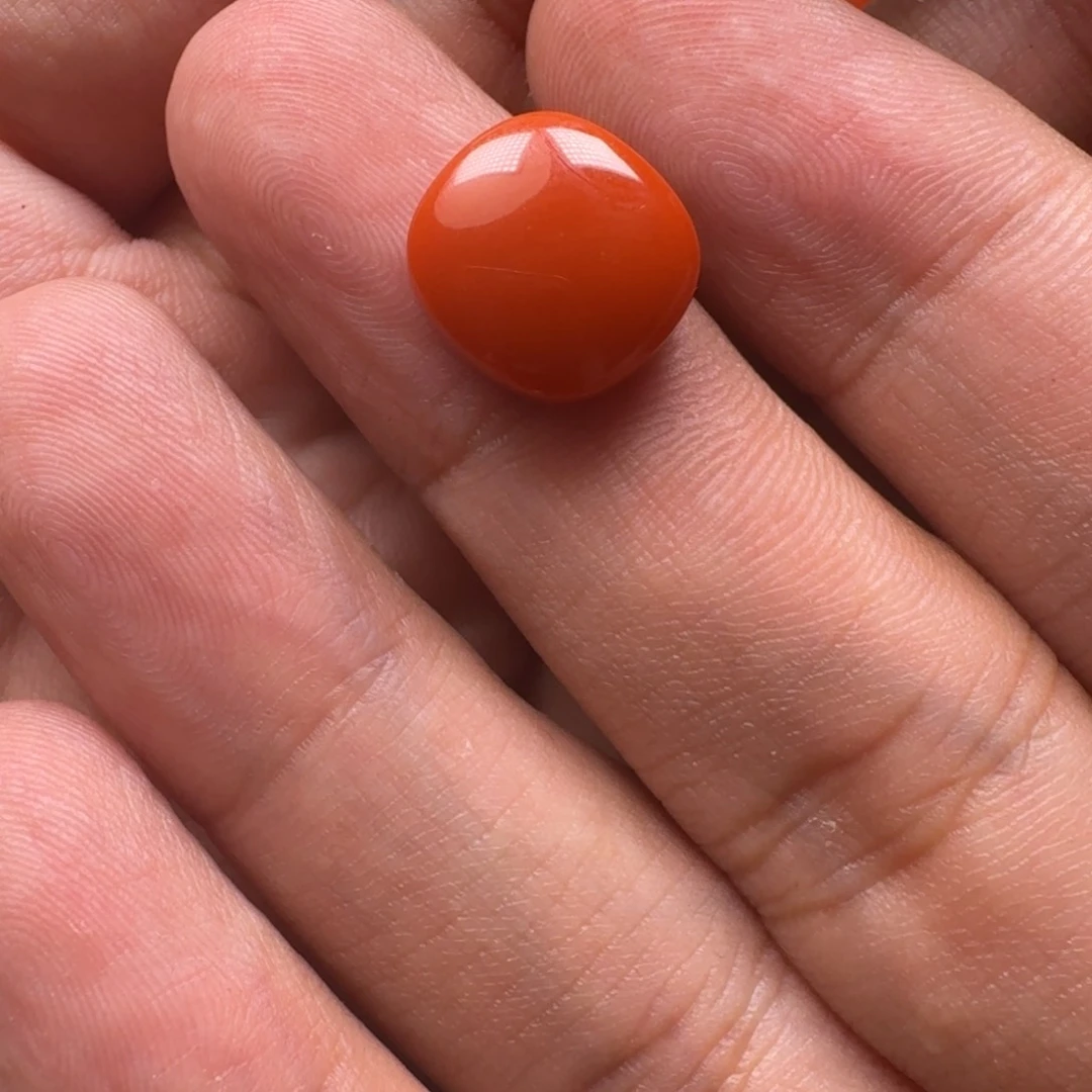 南红玛瑙柿子红戒面12✖️13mm未镶嵌