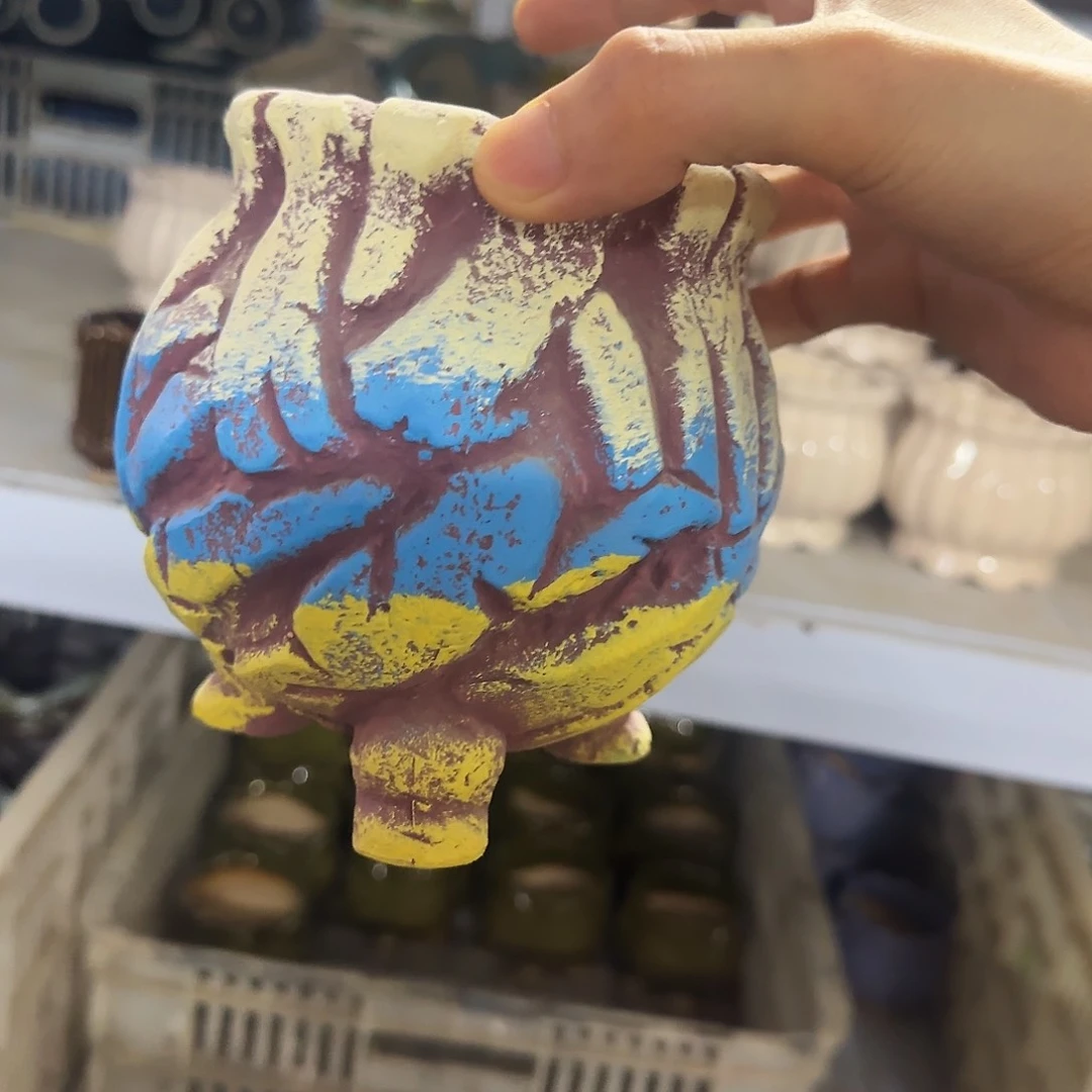 福利局绿植多肉盆［凑9元包邮24小时发］5006