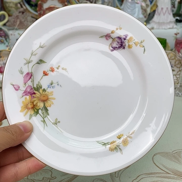 盘维多利亚欧洲中古