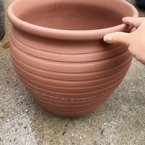 29/26微瑕微瑕的。