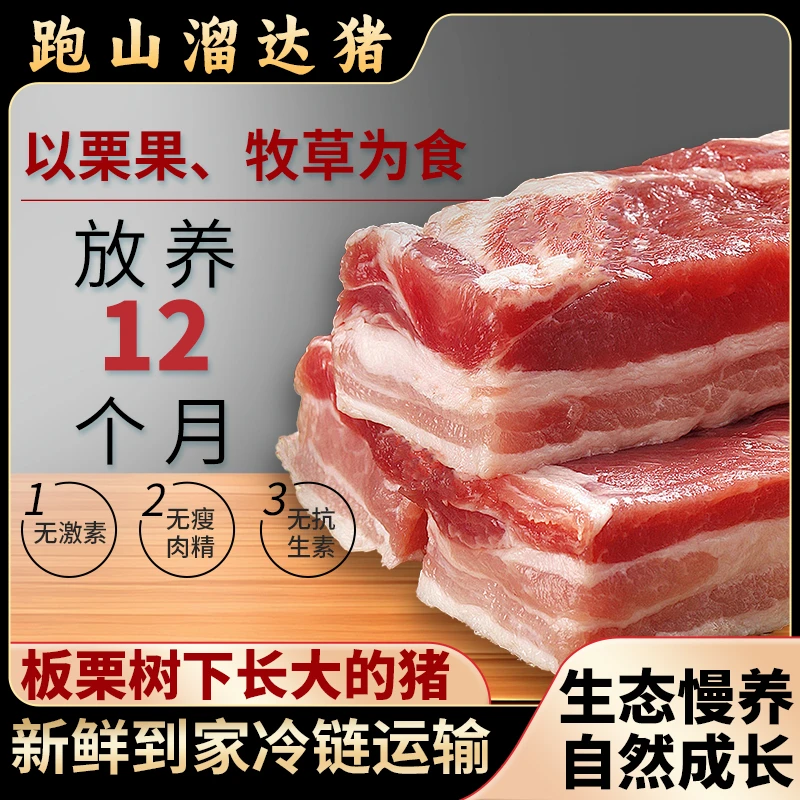 跑山溜达猪 带皮五花肉生鲜猪肉 4斤
