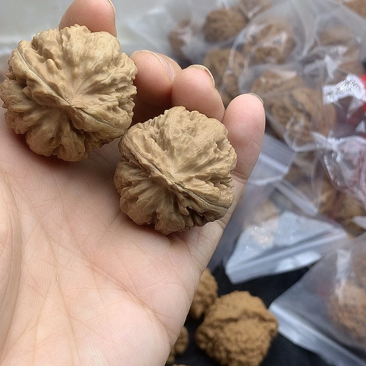 文玩核桃吊坠36 霸王龙
