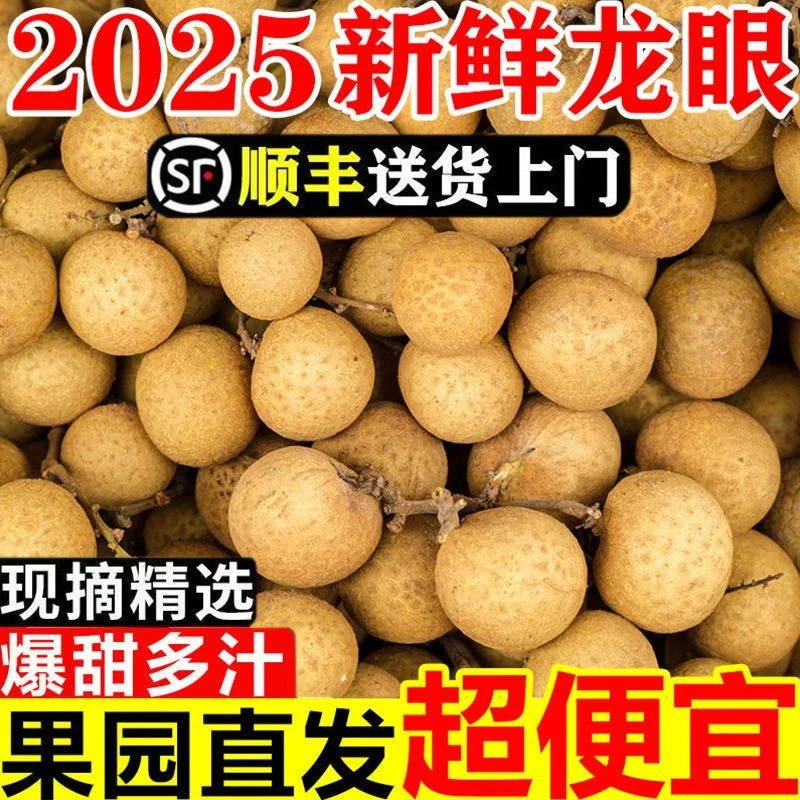 【顺丰包邮】正宗广西平南石峡龙眼当天采摘脆甜爽口地标产品
