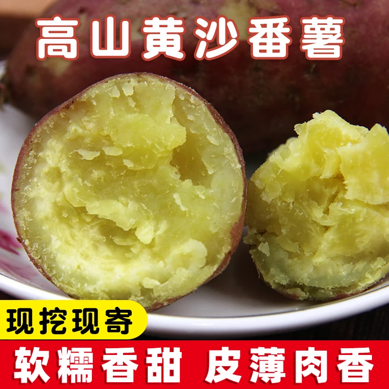 【黄沙番薯】高州古丁现挖新鲜红薯农家自种粉糯香甜板栗蜜薯地瓜