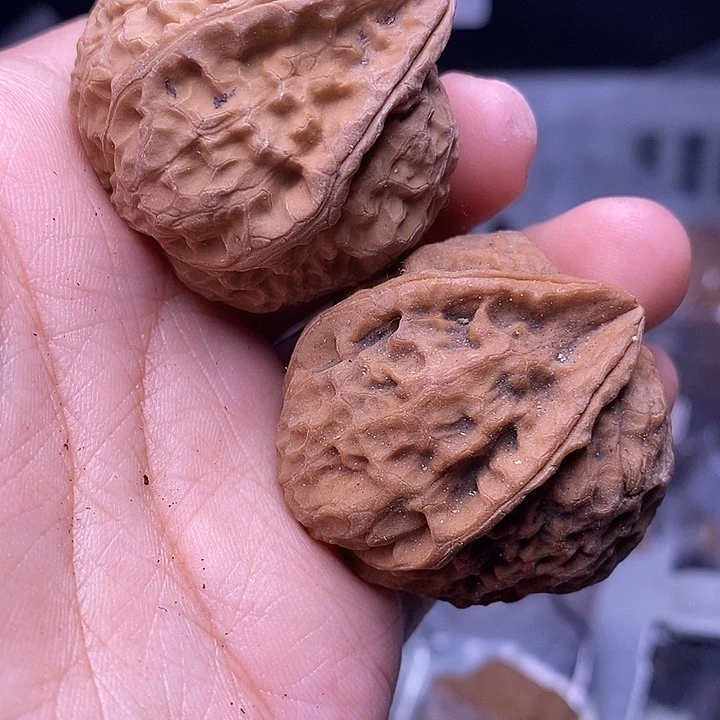 文玩核桃把件   67