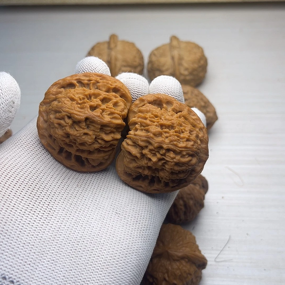 大***包啊啊啊啊啊啊真的