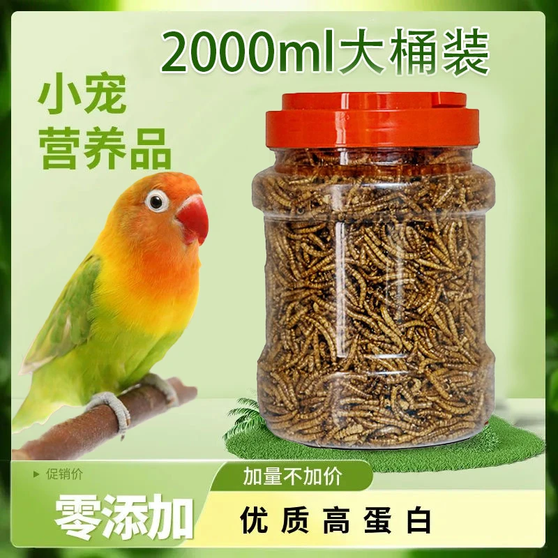 虎皮鹦鹉主粮黄粉虫干金丝熊粮食玄风宠物食用虫乌龟喂鸡饲料零食