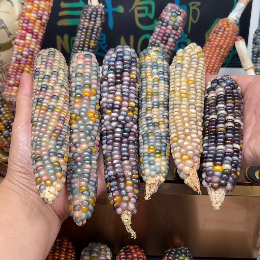 柏香籽/百香籽吊坠星****r