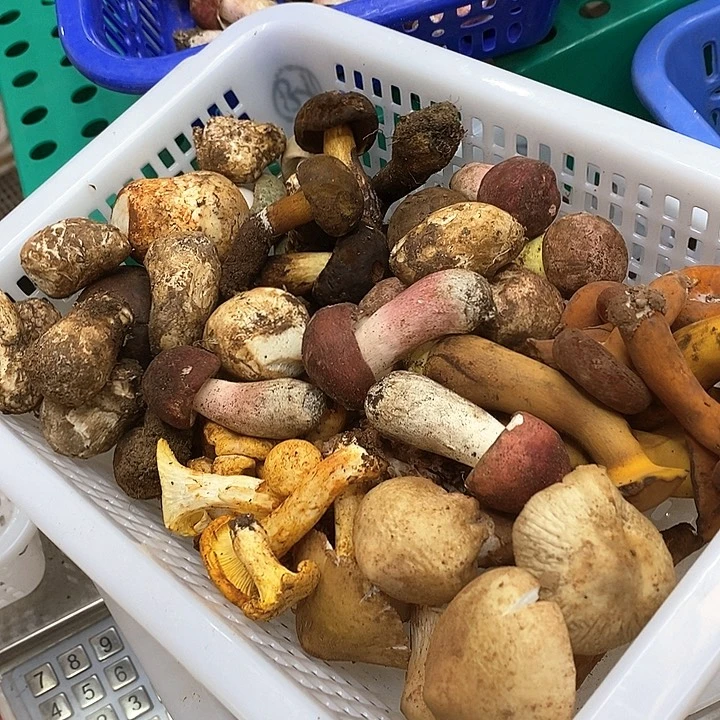 一物一拍中国大陆