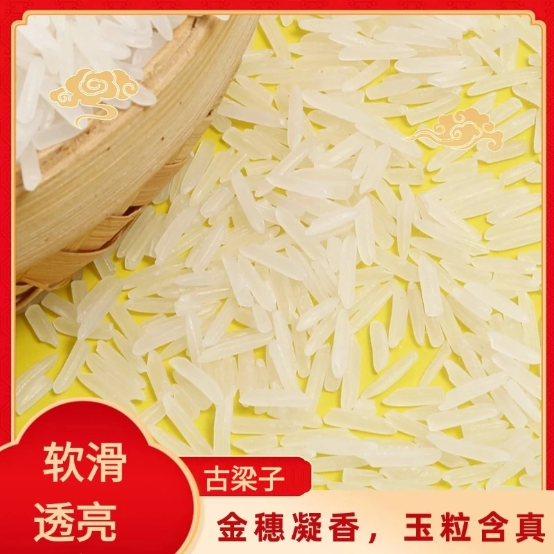 【新人补贴】长粒香猫牙香米买五斤送五斤一年一季现磨现发10斤