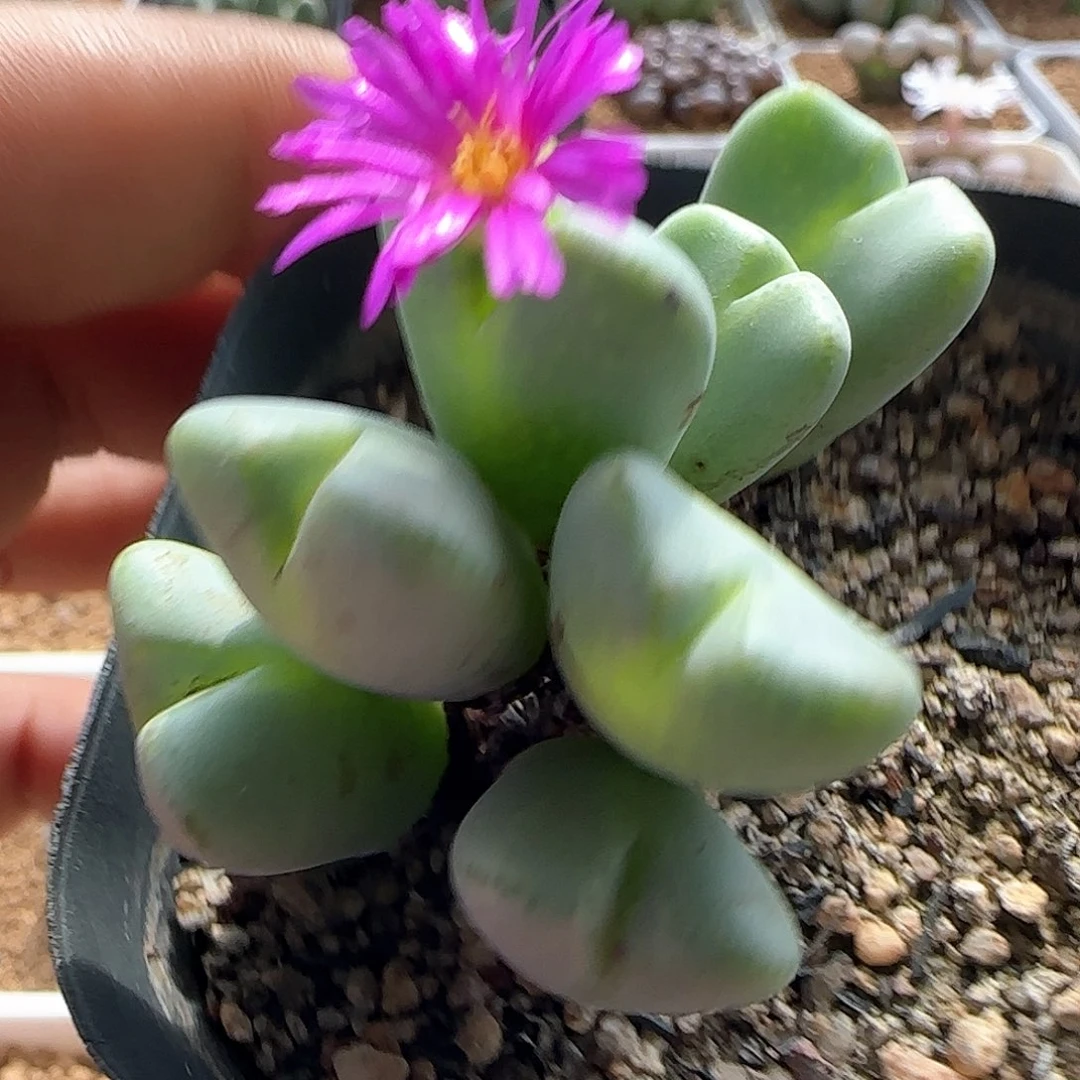 哈哈哈哈哈哈哈53706