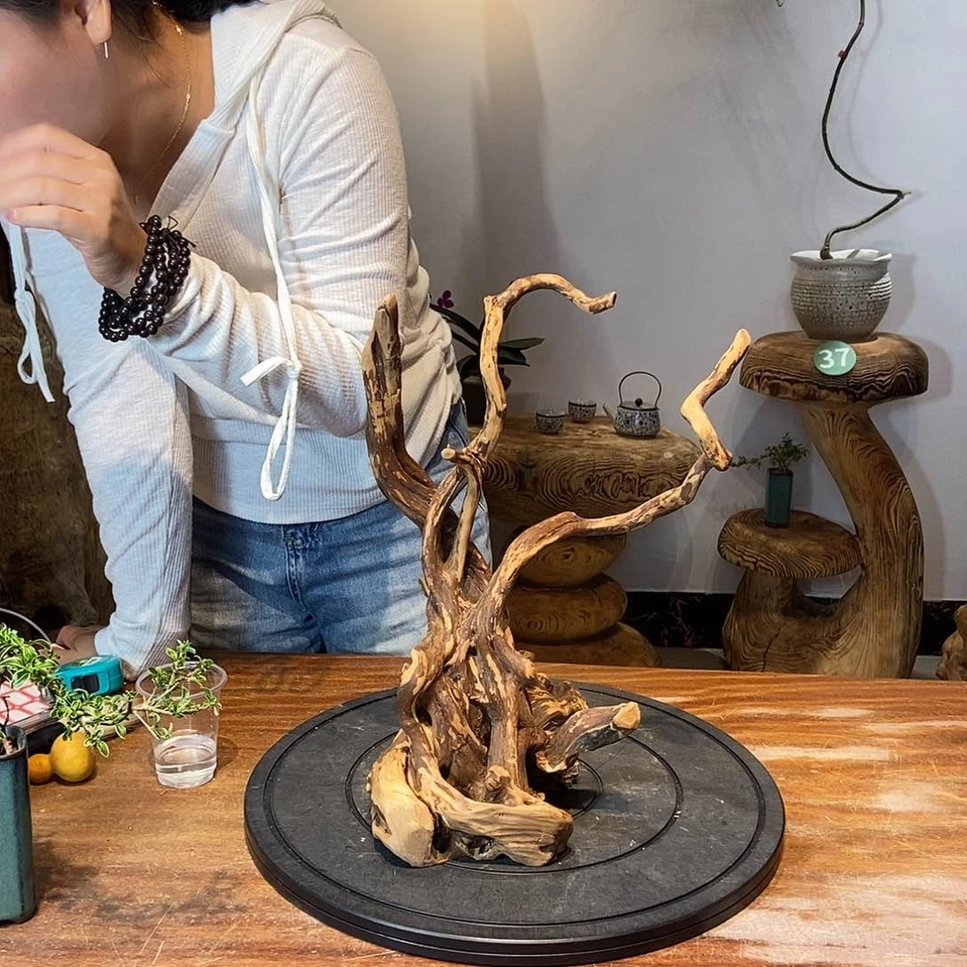 摆件宁****远天然根雕艺术摆件