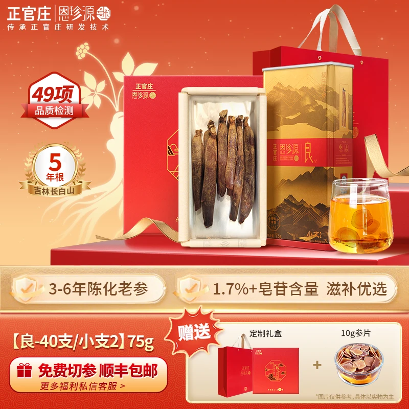 正官庄恩珍源[良]字号小支2-75g|官方长白山高丽参正宗5年参-新