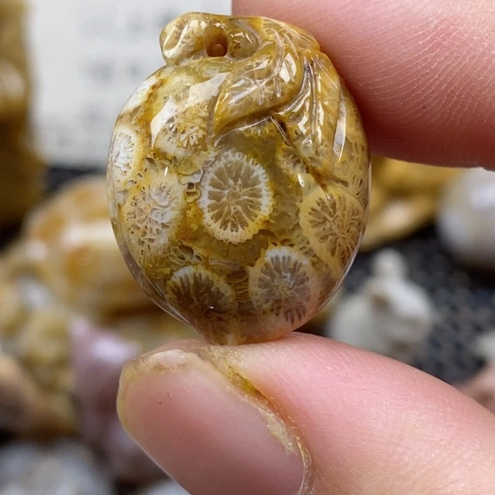 颈饰未镶嵌硅化珊瑚（珊瑚玉）小
