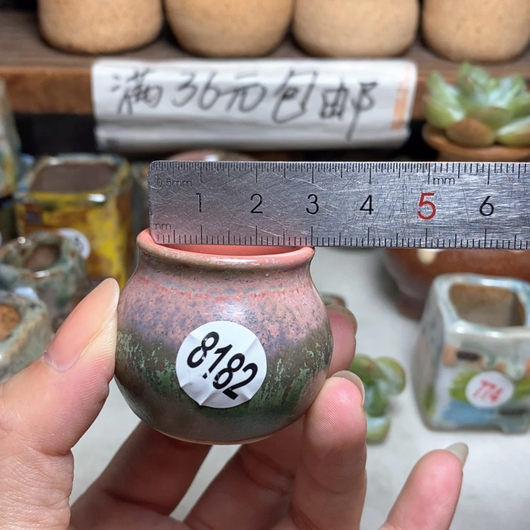拍5送一个小礼物