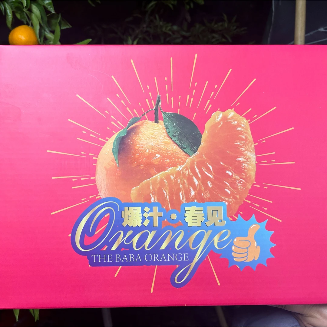 【春节礼盒装】【有防护套】正宗四川眉山春见耙耙柑新鲜水果现摘香甜