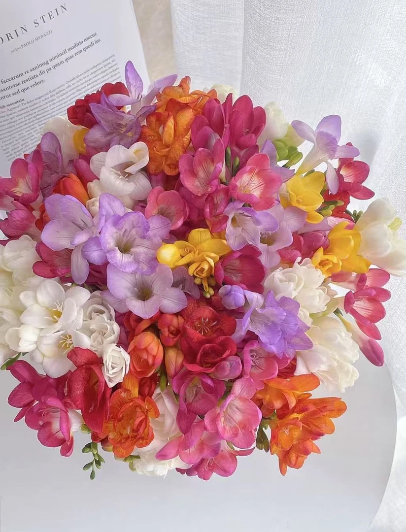 【陌上花开】2扎随机色香雪兰-草花（带包装深水醒花哦~）