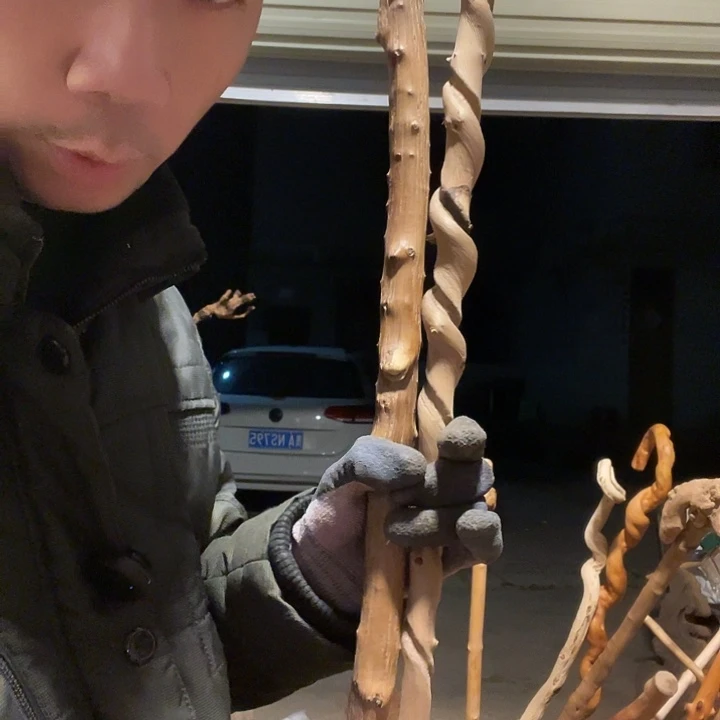 壹***柒贵州铁马鞭登山杖