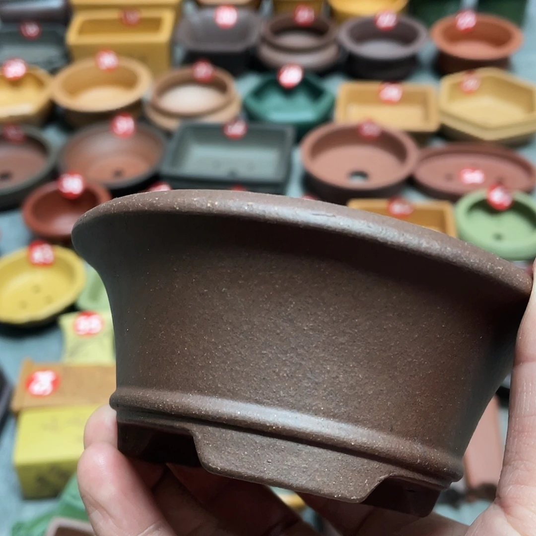 紫砂小盆9.5*4cmmmmm