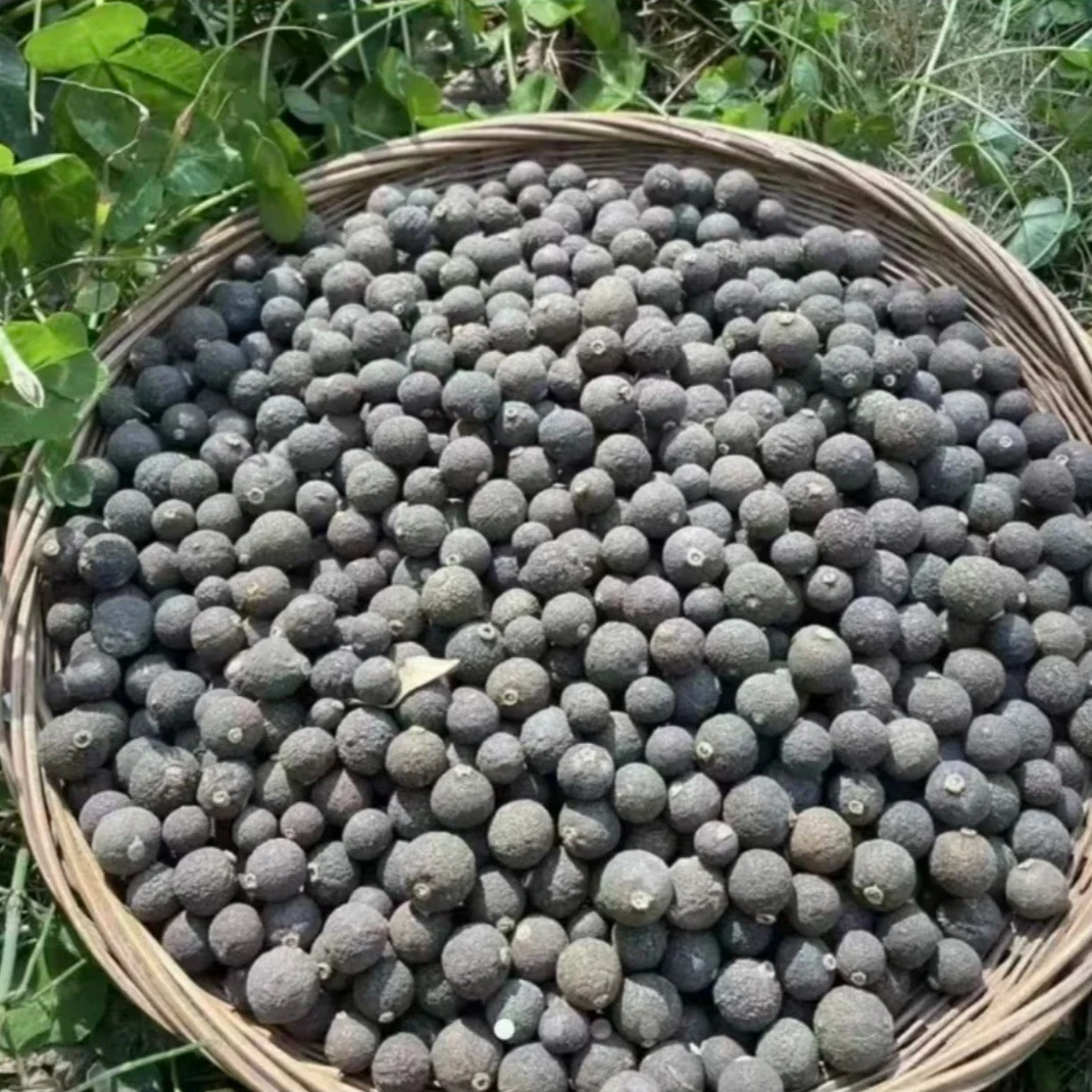 高山高海拔珍藏【黑灵果】阿珍专属 非枸杞