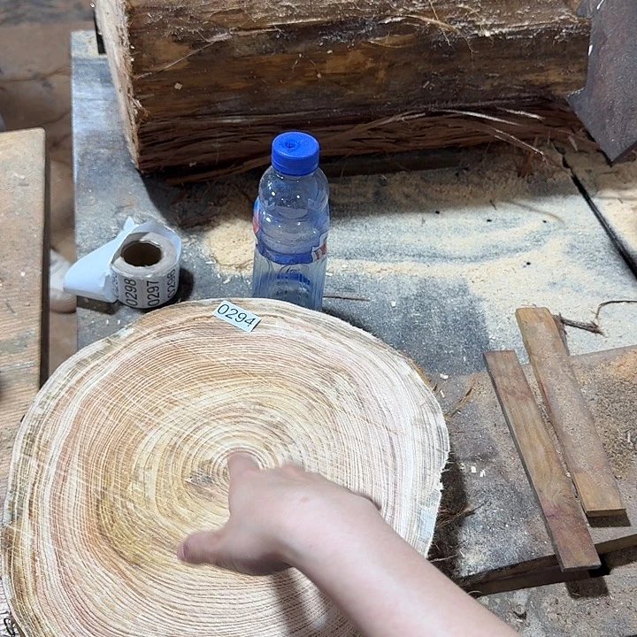 大果紫檀（缅甸花梨）桧木，294