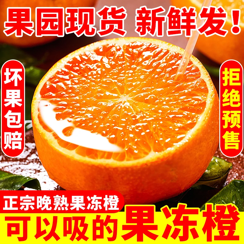 爆汁-正宗眉山高山四川青见果冻橙  粒粒爆汁 细腻化渣