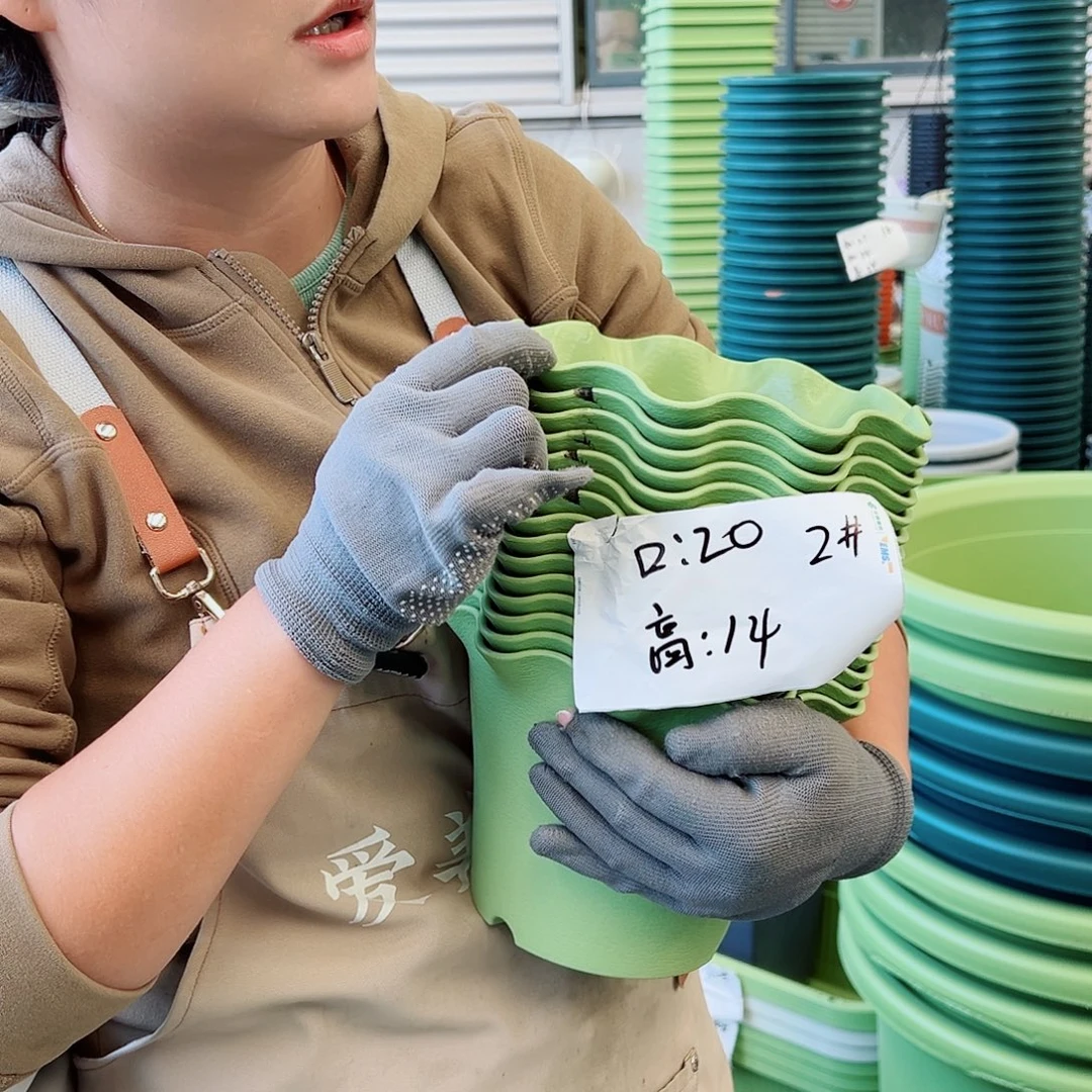 瑕疵荷叶边2#果绿色8个无托
