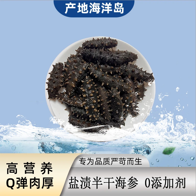 海洋岛深海海参辽参辽刺参滋补品盐渍海参(半干）3-5年参龄