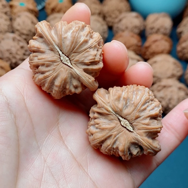 文玩核桃把件白狮子39全品