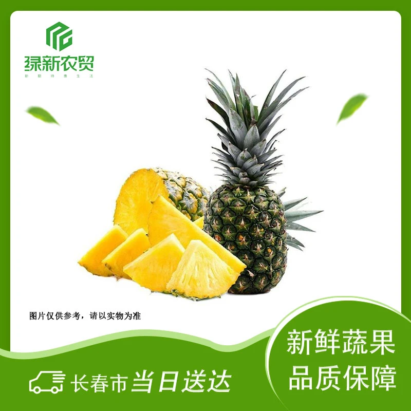 凤梨 约900g-1100g/个