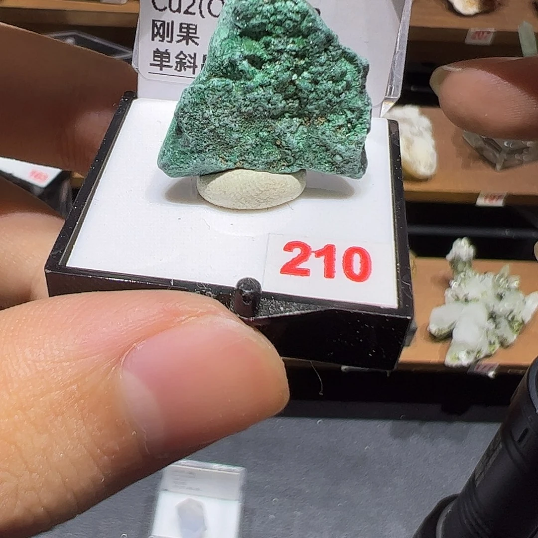 石材菊石嫁鸡随鸡