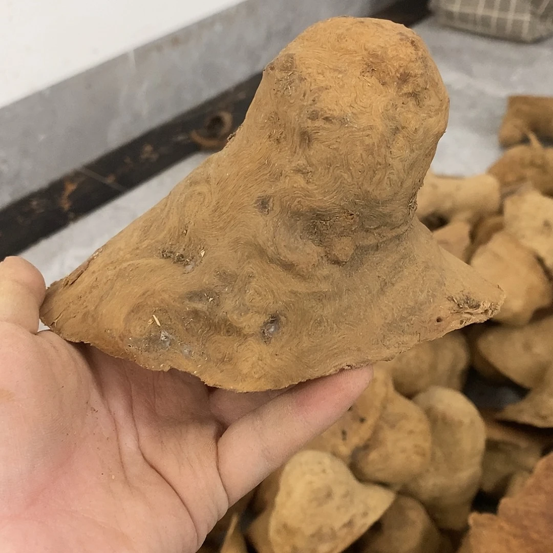 3***治荔枝木荔枝木原料