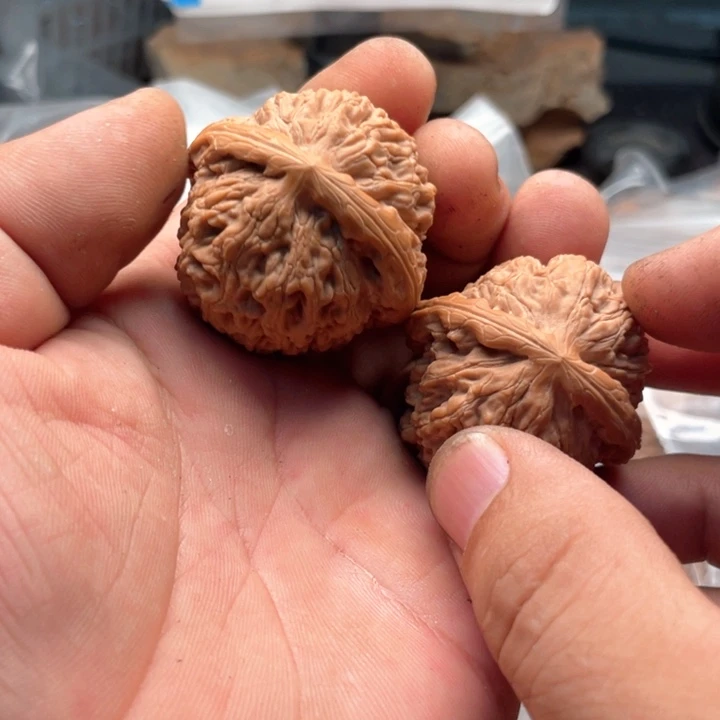 爱***意文玩核桃把件水龙纹