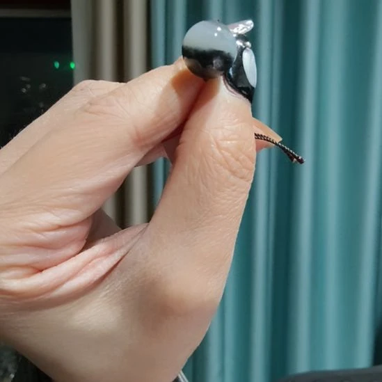 和田玉颈饰未镶嵌T****x