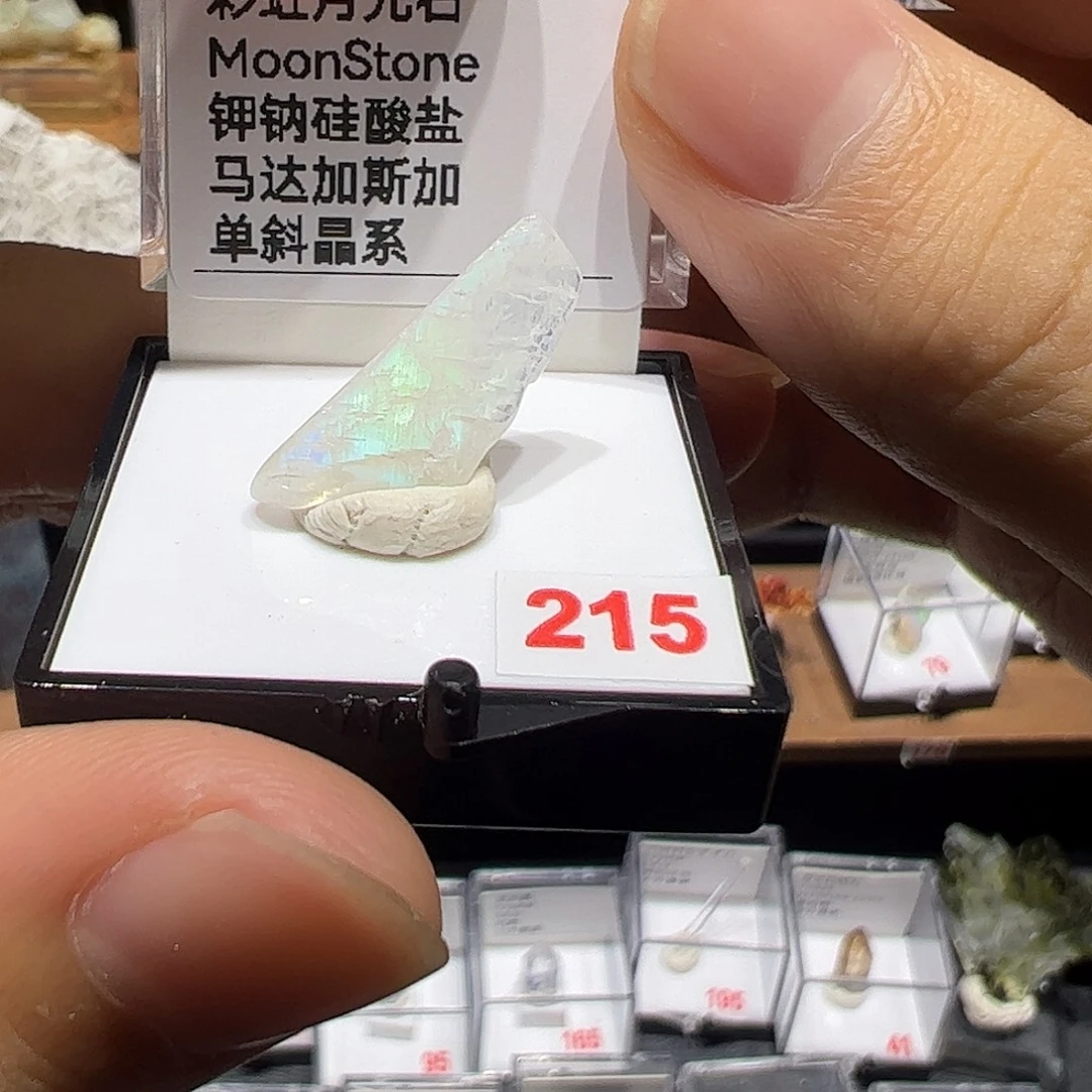 石材彩虹和宝宝宝宝