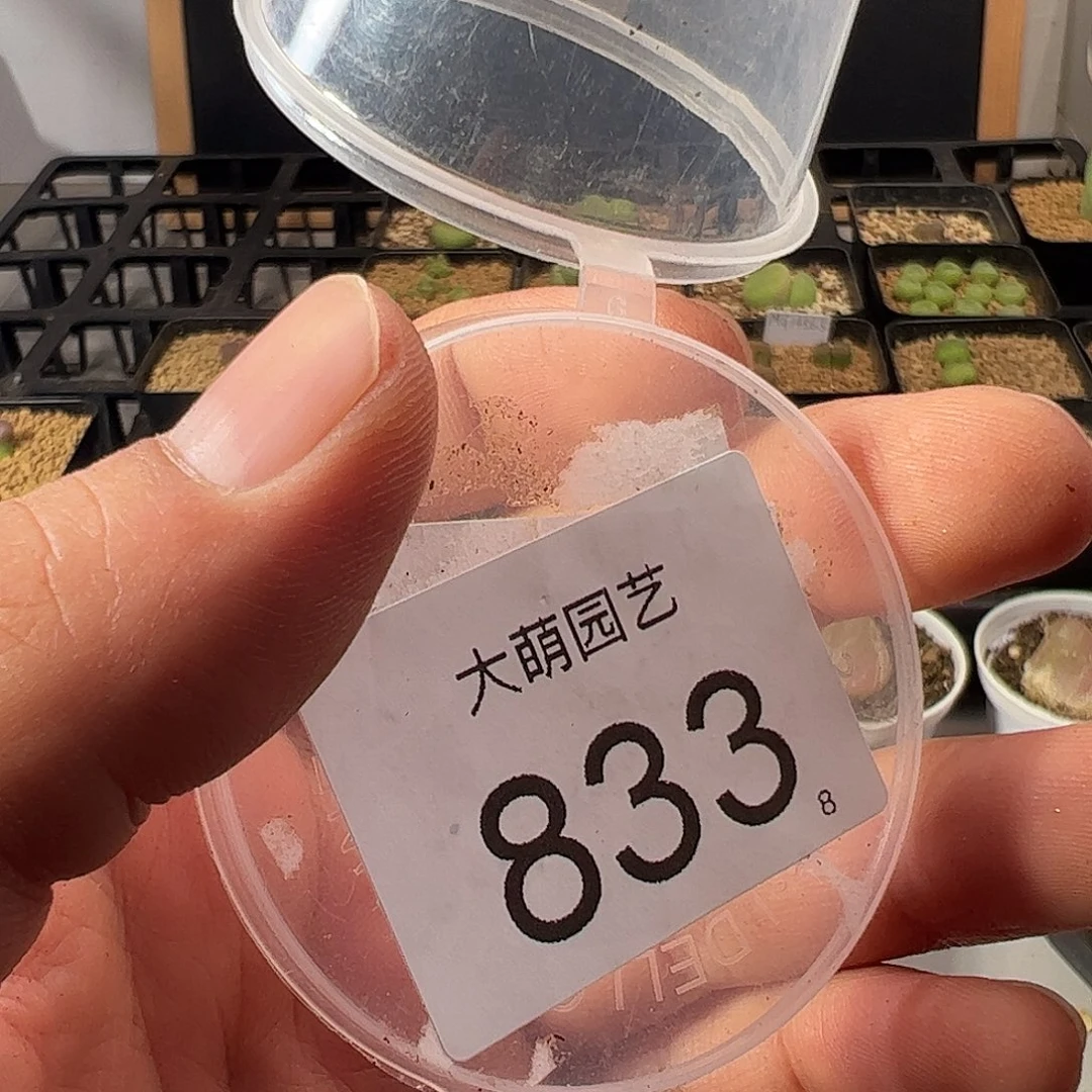 皮*闹0000833 一物一拍……