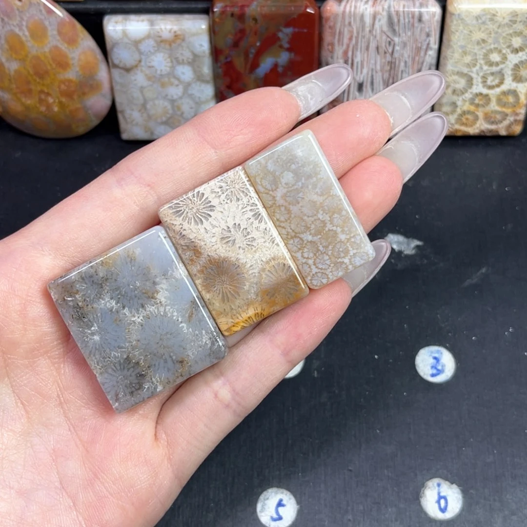 硅化珊瑚（珊瑚玉）未镶嵌吊坠