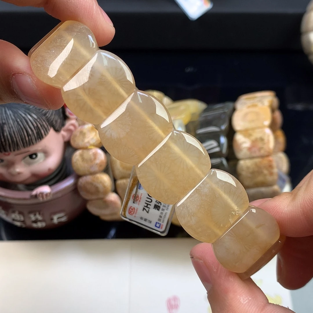 【闪购商品】颈饰未镶嵌硅化珊瑚（珊瑚玉）36号白冰大花