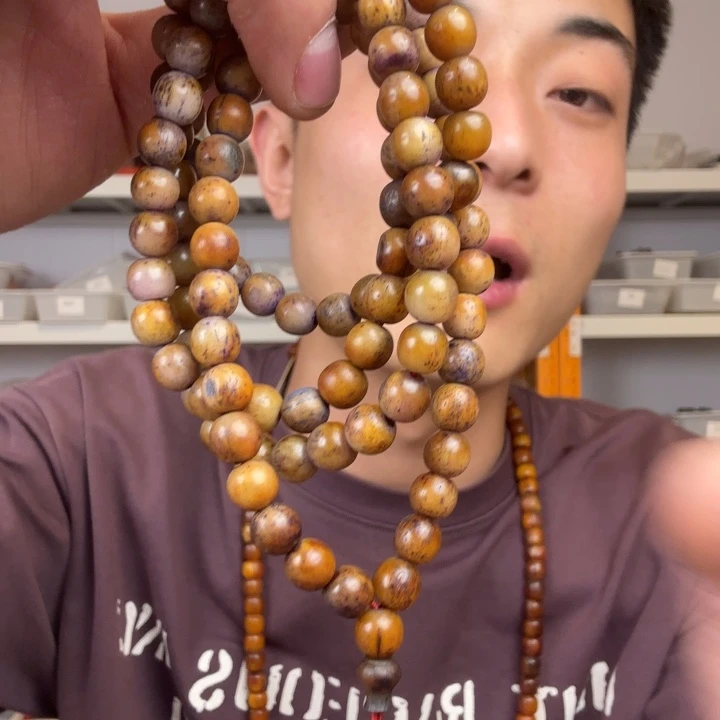 大果紫檀（缅甸花梨）C237