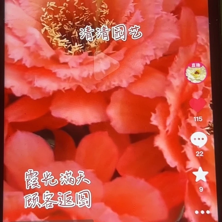 清清霞光满天侧牙瑕疵有黑点歪