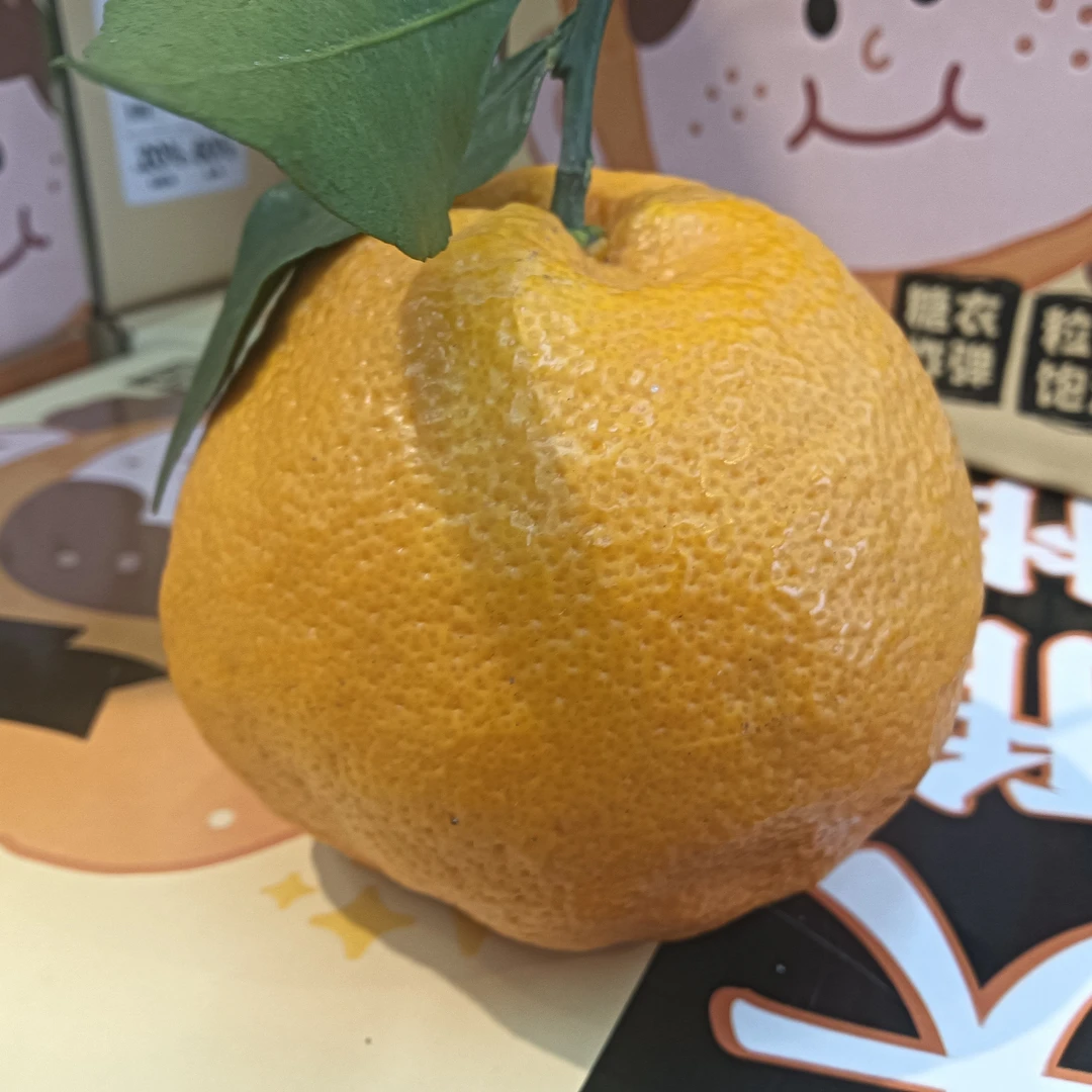 大雅柑 8斤左右