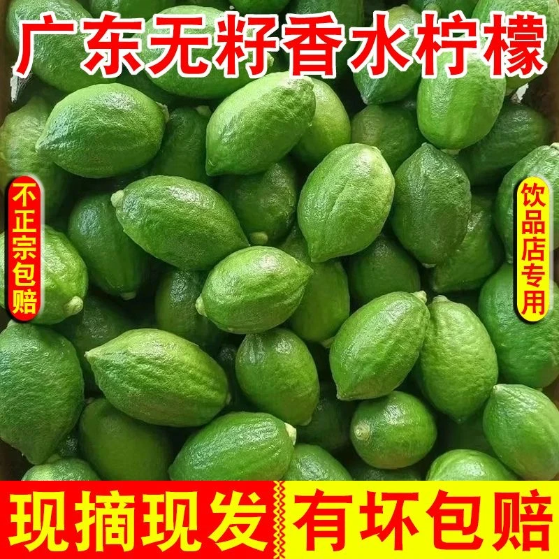 广东香水柠檬无籽青柠精选新鲜水果奶茶咖啡店专用商用水吧