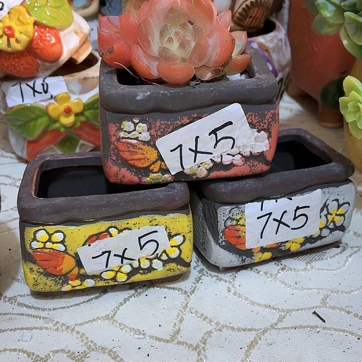 多肉花盆满15包邮