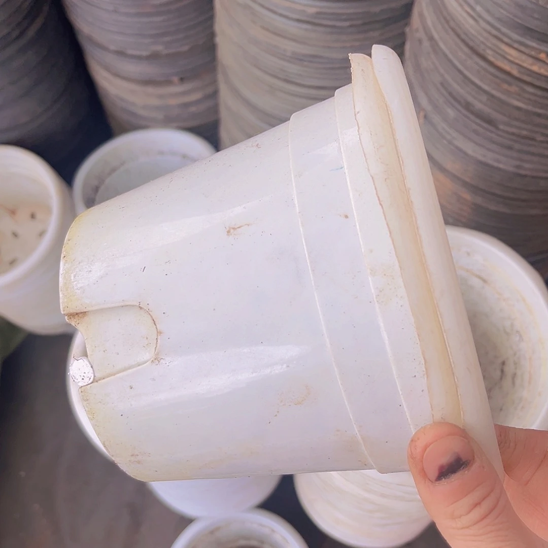 塑料旧16公分白圆盆30个