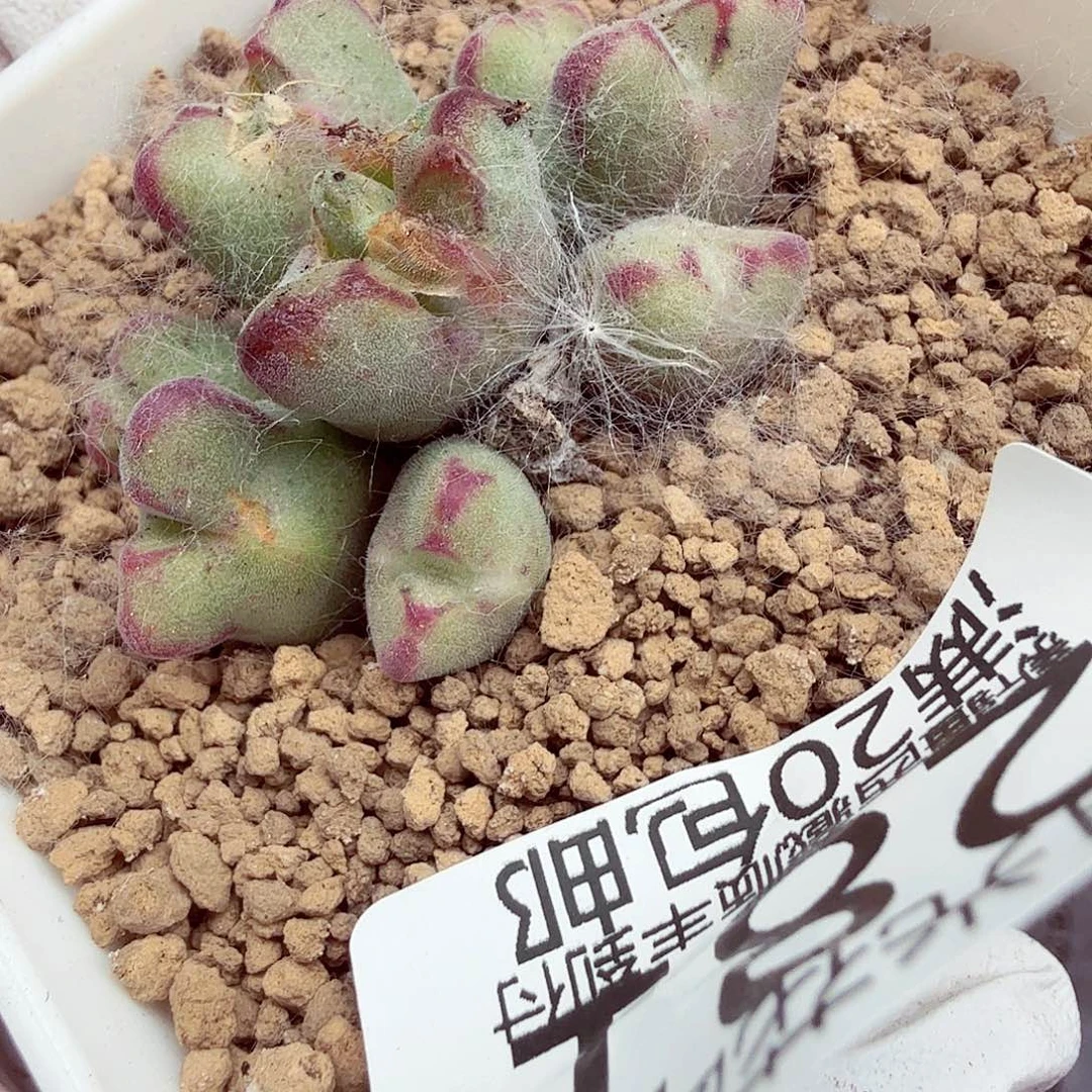 你说吧别在打电话啦不281